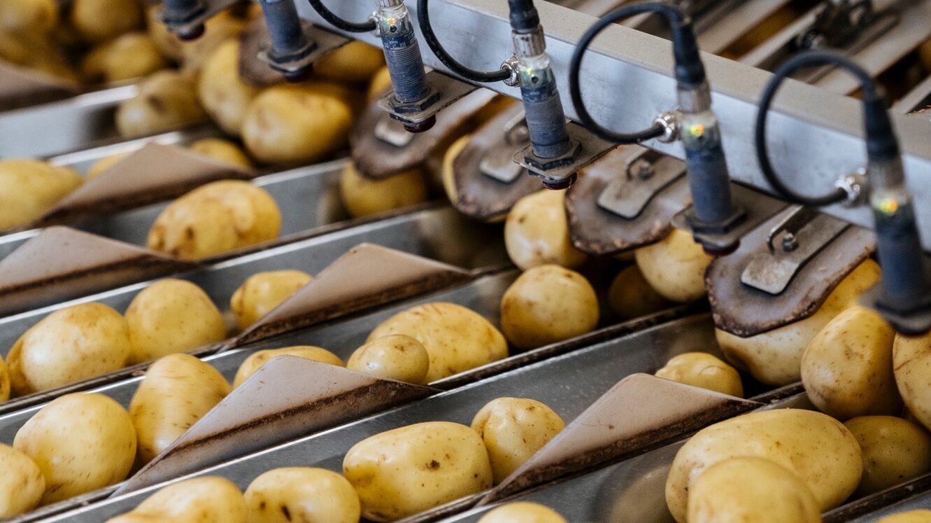 Foto aardappelen